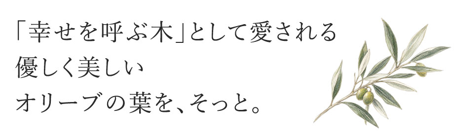 ブガッティ型バッグBERCEAU